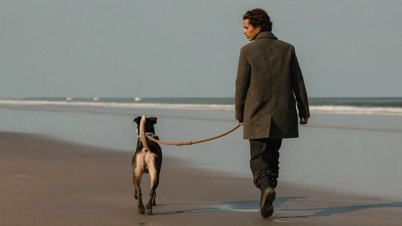 Hund og ejer går langs en våd jysk strand med slap rebsnor